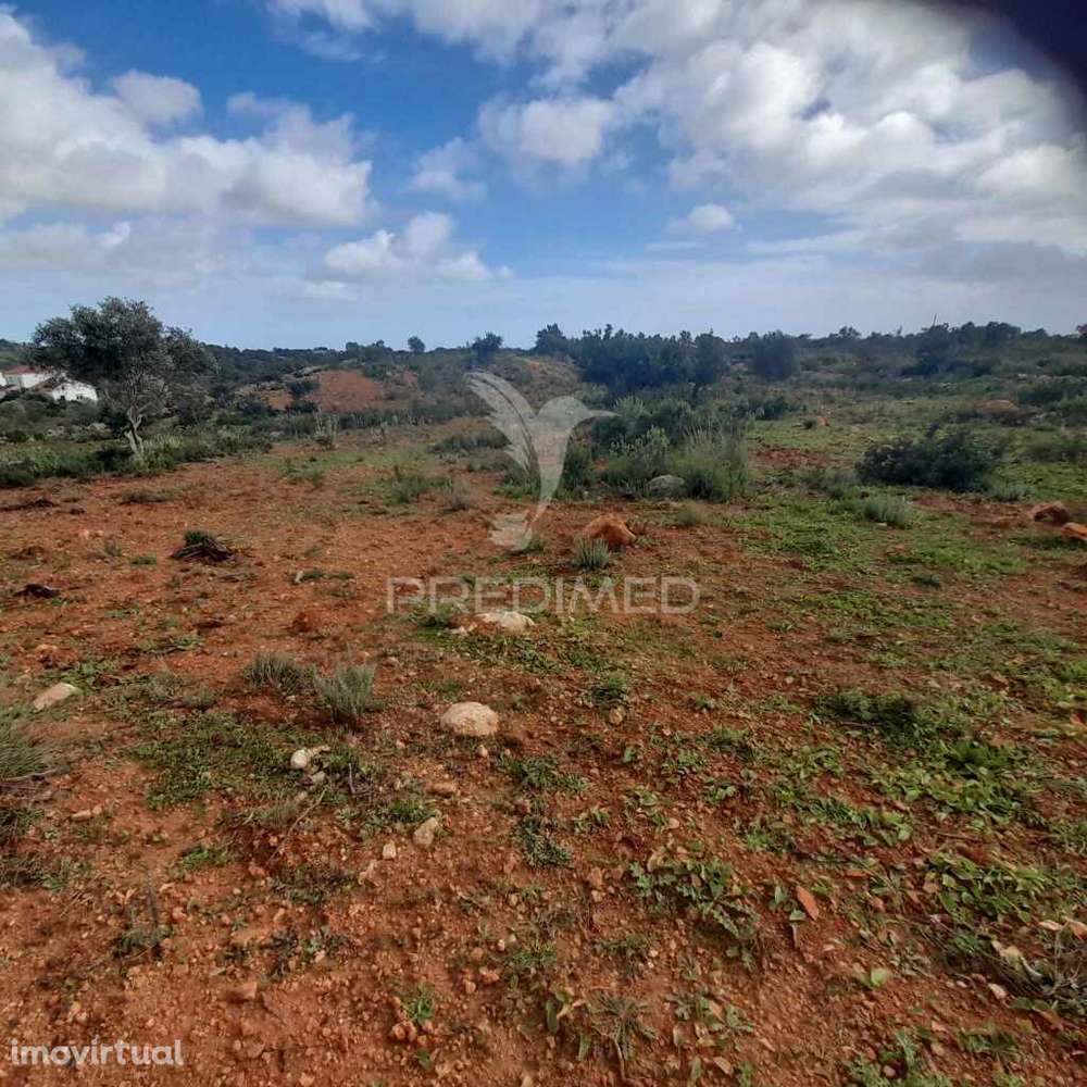 4 terrenos Rústicos  Alecrineira-Cerro Azul - Grande imagem: 2/11