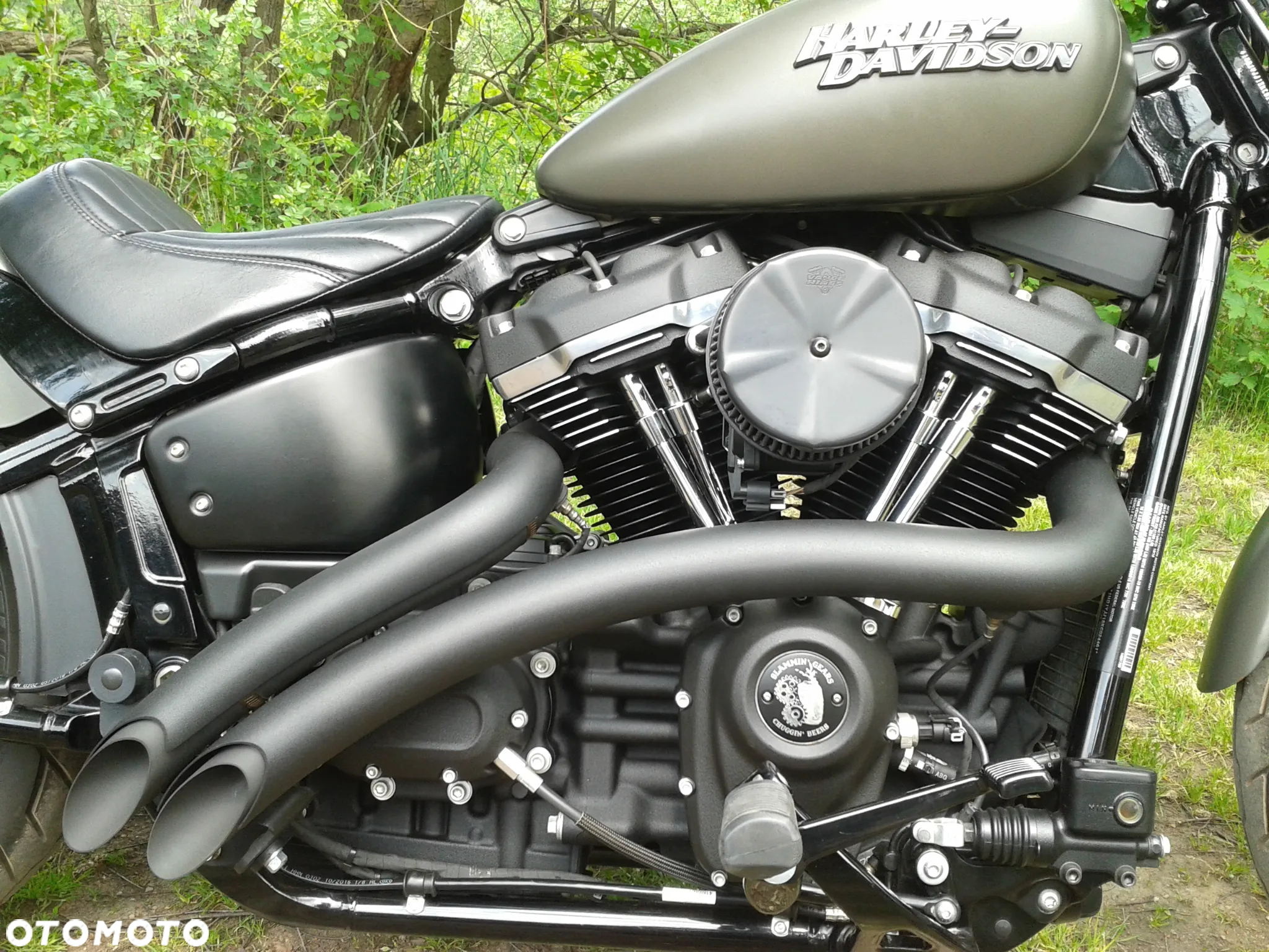 Harley-Davidson Softail Street Bob - 2