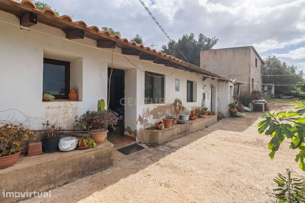 Terreno Misto com Moradia e Anexos – Oportunidade no Campo - Grande imagem: 4/32