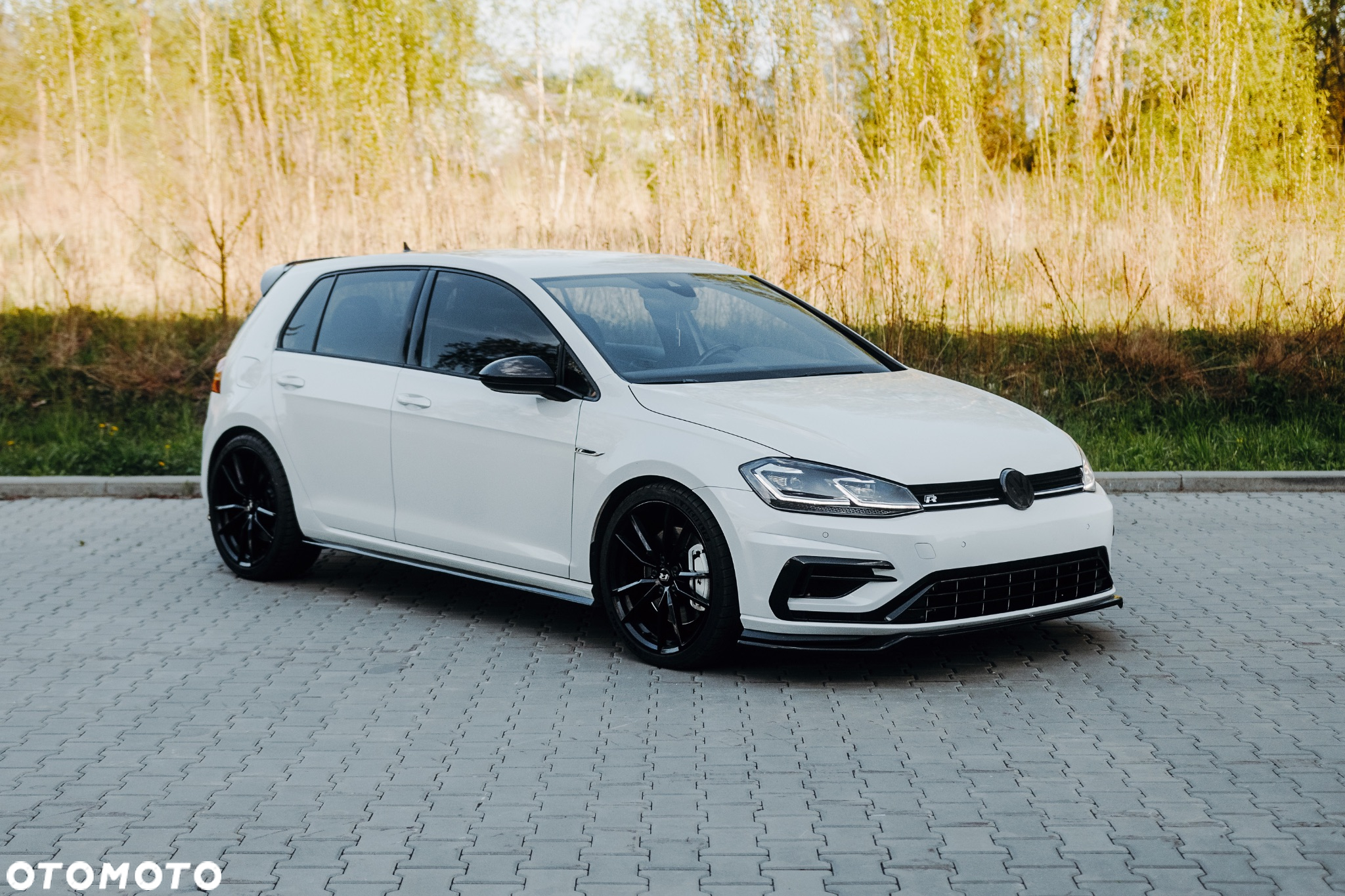 Volkswagen Golf R 4Motion (BlueMotion Technology) DSG - 4