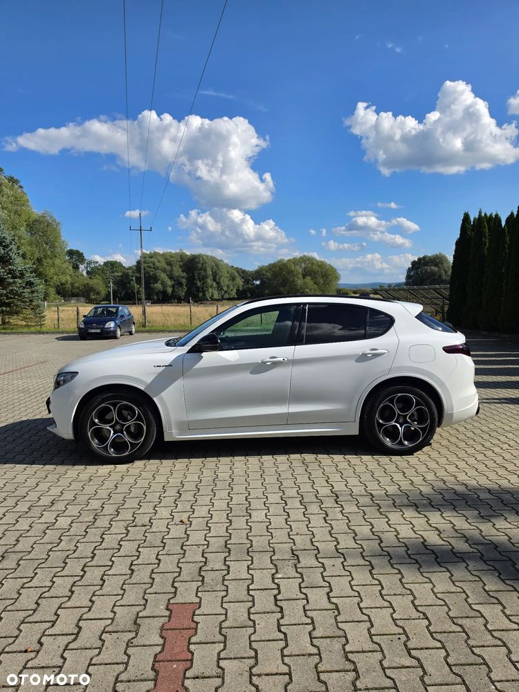Alfa Romeo Stelvio 2.0 Turbo Veloce Q4 - 5