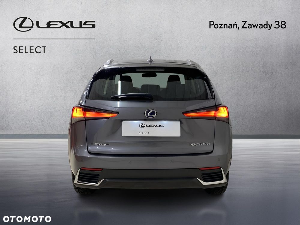 Lexus NX 300h Elegance 2WD - 7