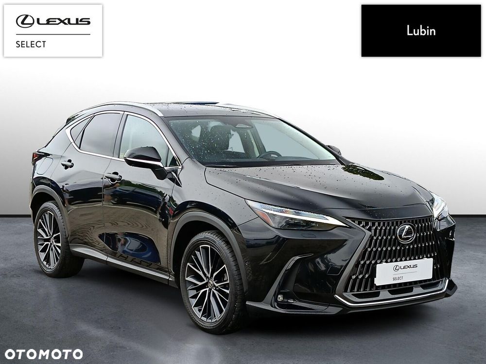 Lexus NX - 8