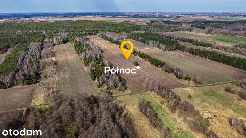 Działka rolna ponad 4,4 Ha w Małaczewiczach Dużych - Pełny obrazek: 2/5