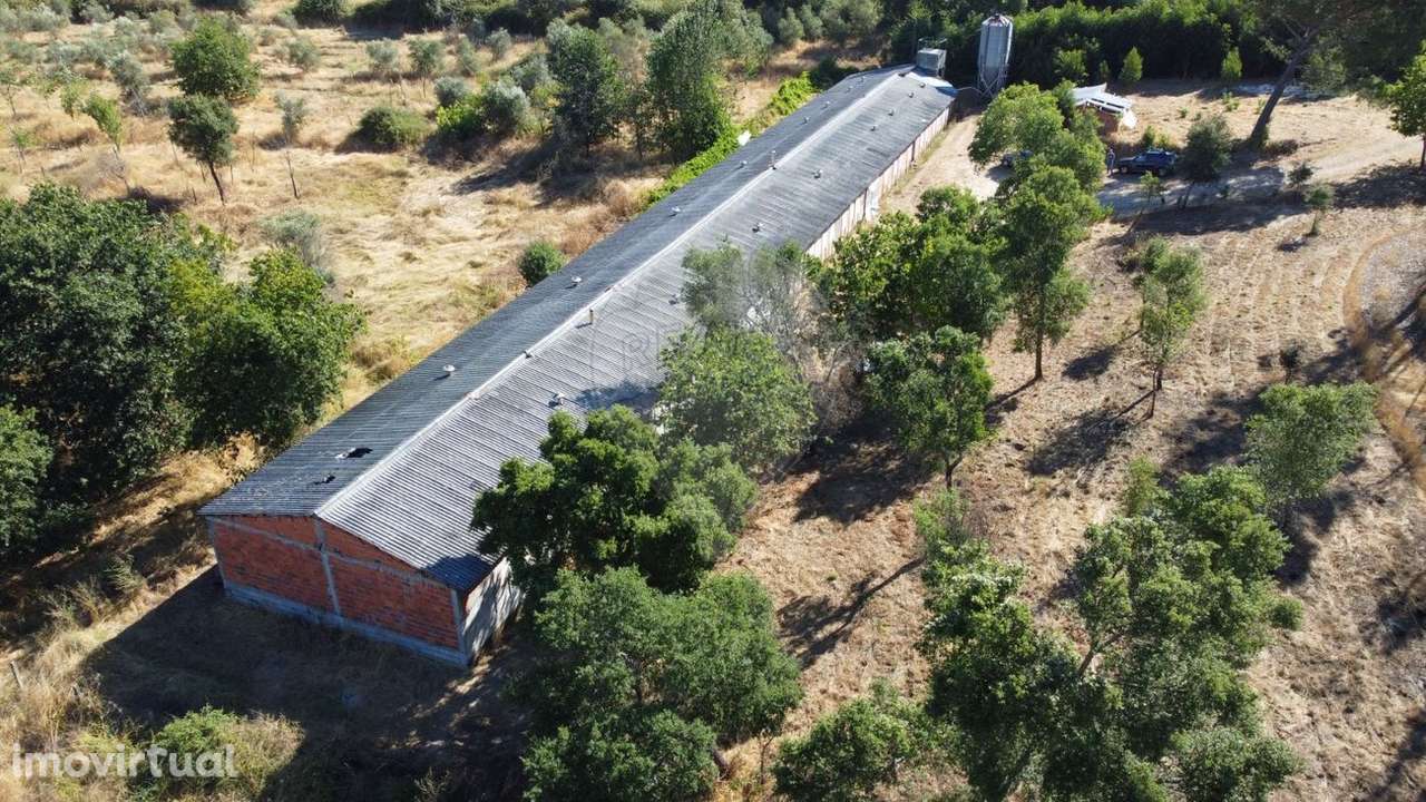 Armazém  para venda - Grande imagem: 2/30