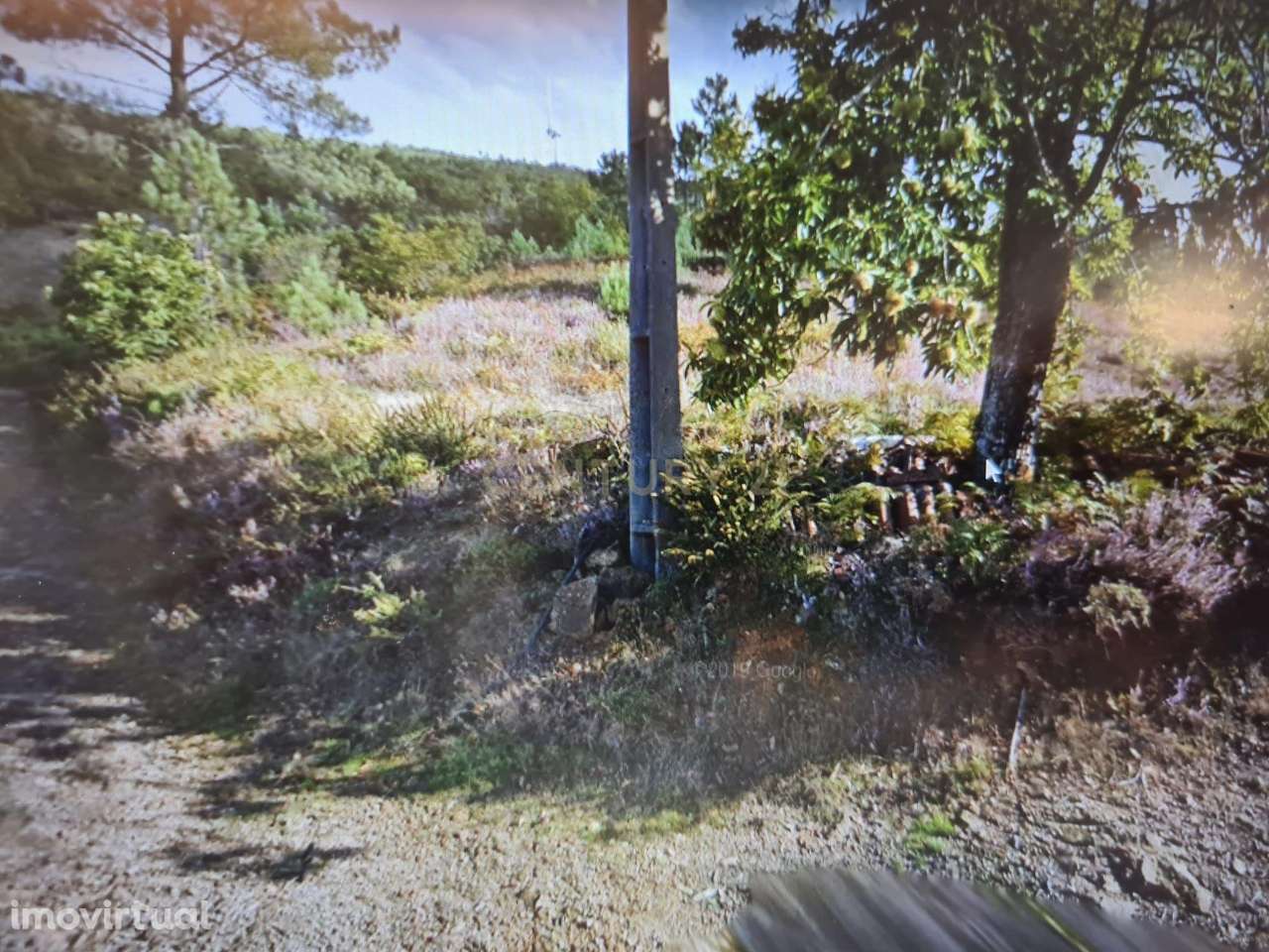 Terreno Rustico - Grande imagem: 2/3