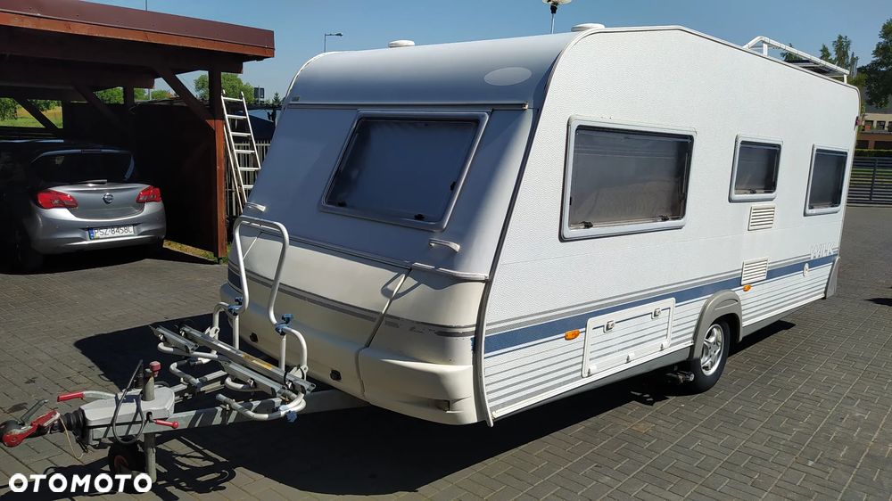 Wilk sport - 14