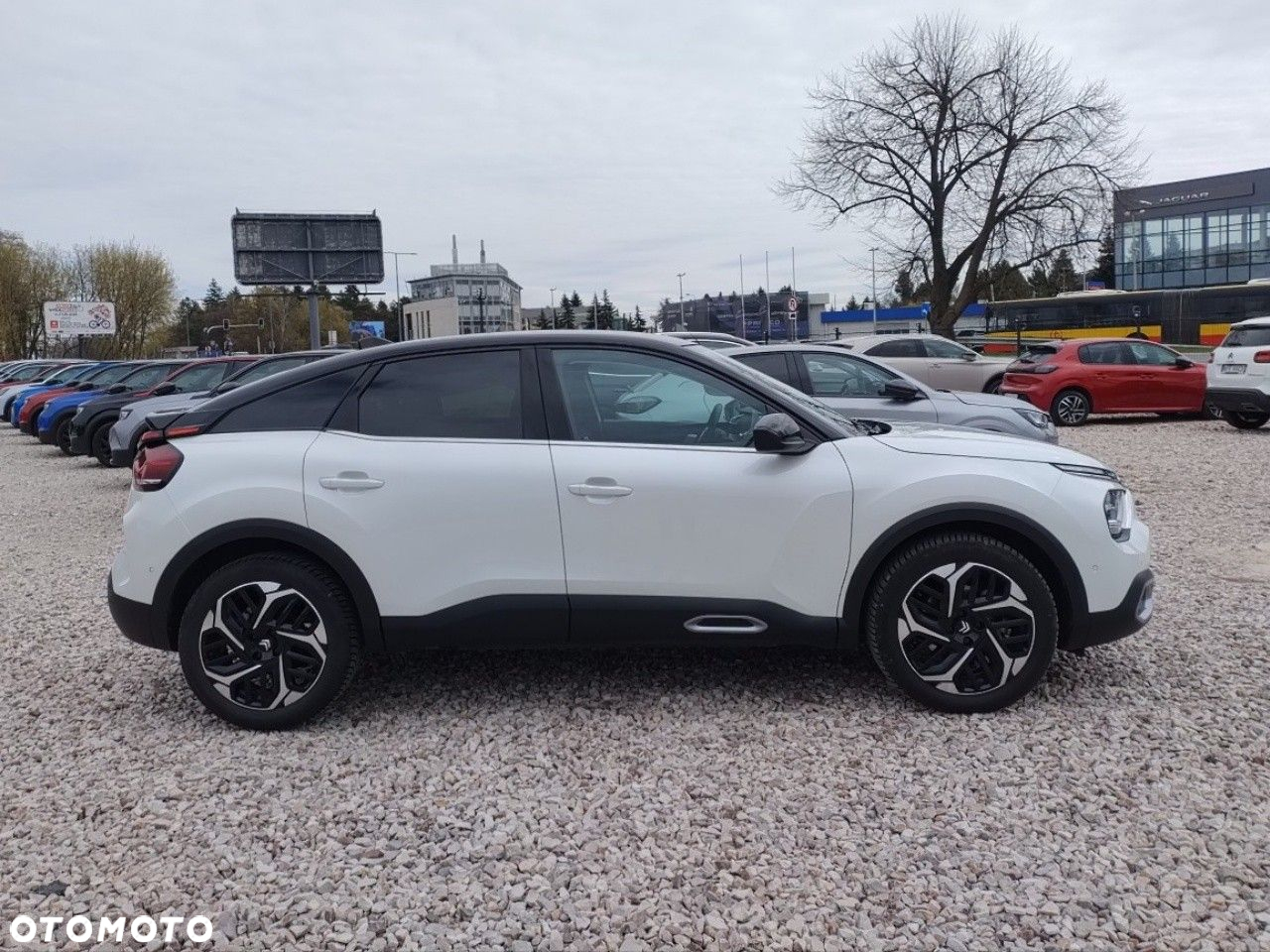 Citroën C4 1.2 PureTech Max S&S EAT8 - 4
