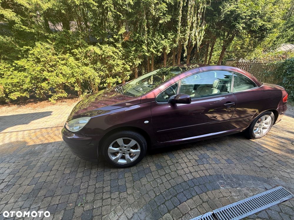 Peugeot 307 CC - 12