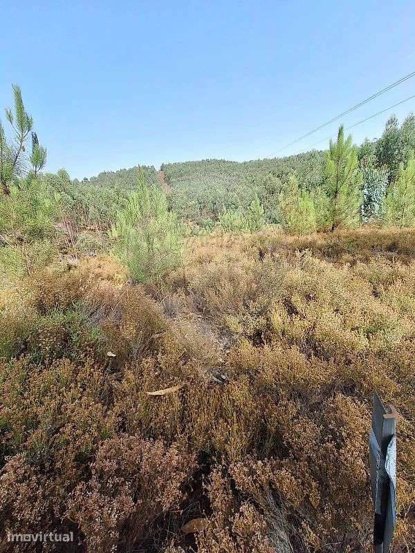 Terreno  para venda - Grande imagem: 3/3