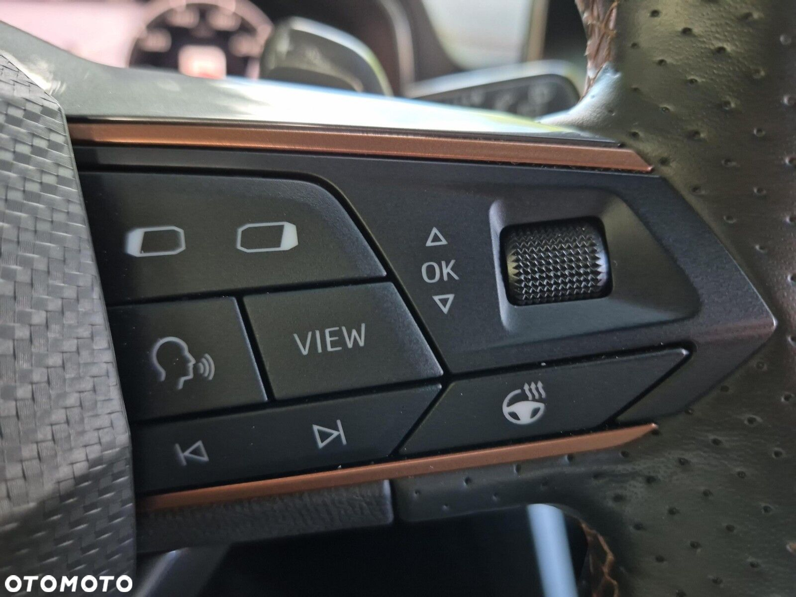 Cupra Formentor 1.5 TSI DSG - 24
