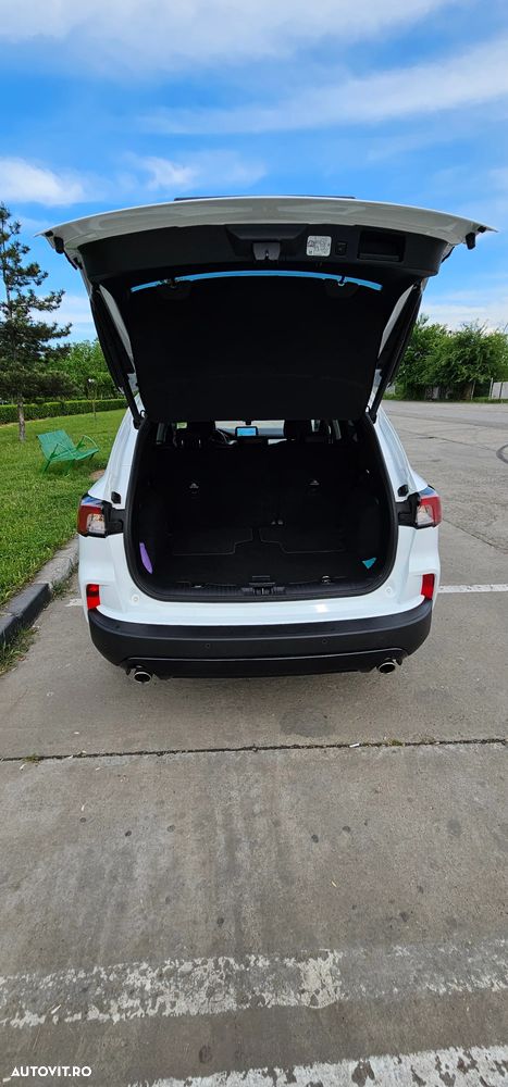 Ford Kuga 2.0 EcoBlue A8 AWD ST Line X - 6