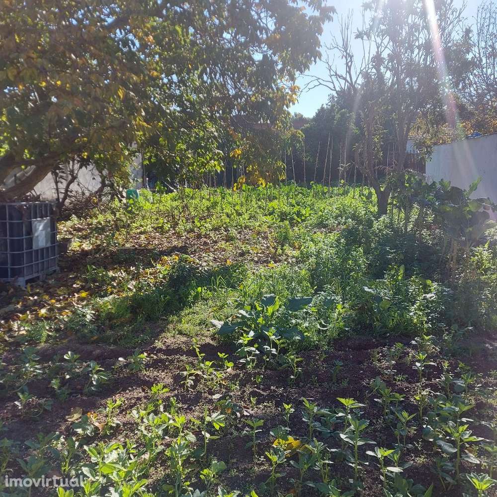 Lote para construção - Grande imagem: 3/3