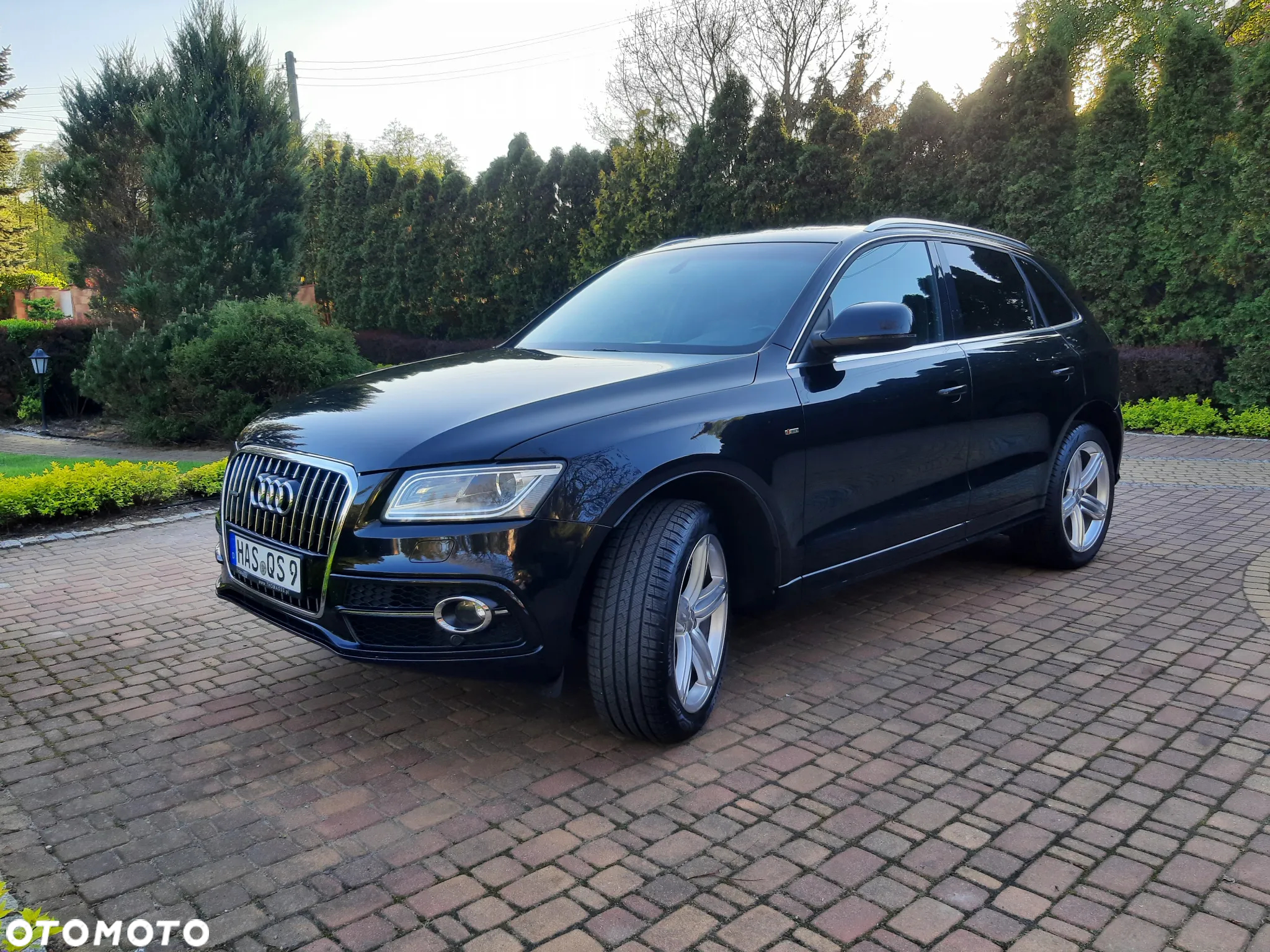 Audi Q5 3.0 TDI Quattro S tronic - 7