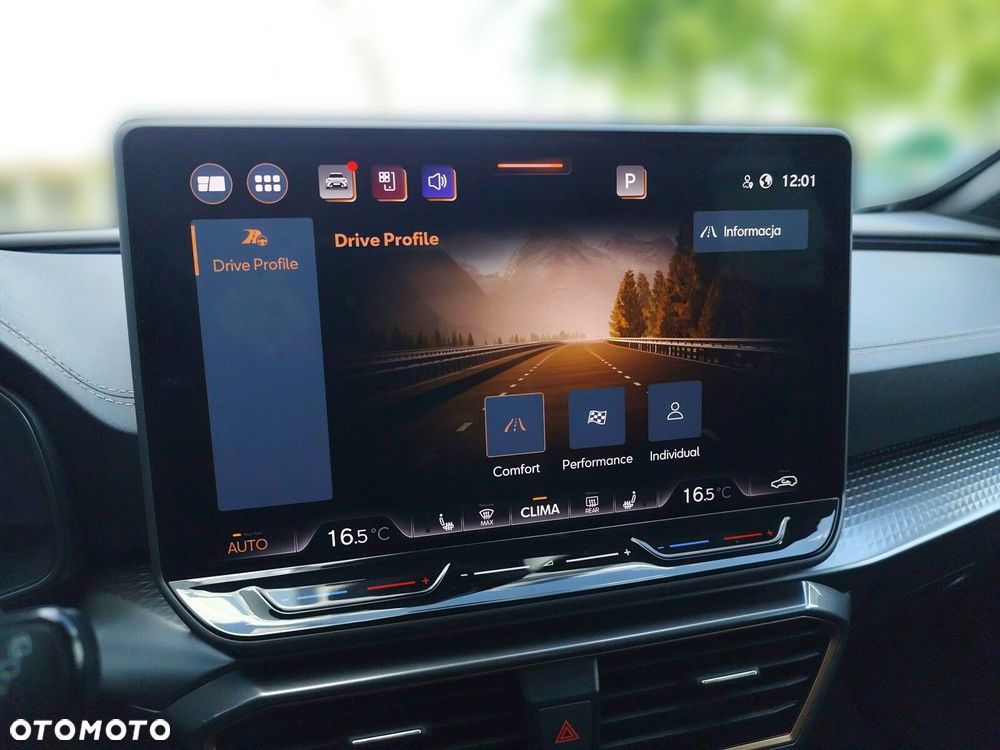 Cupra Formentor 1.5 eTSI mHEV DSG - 31