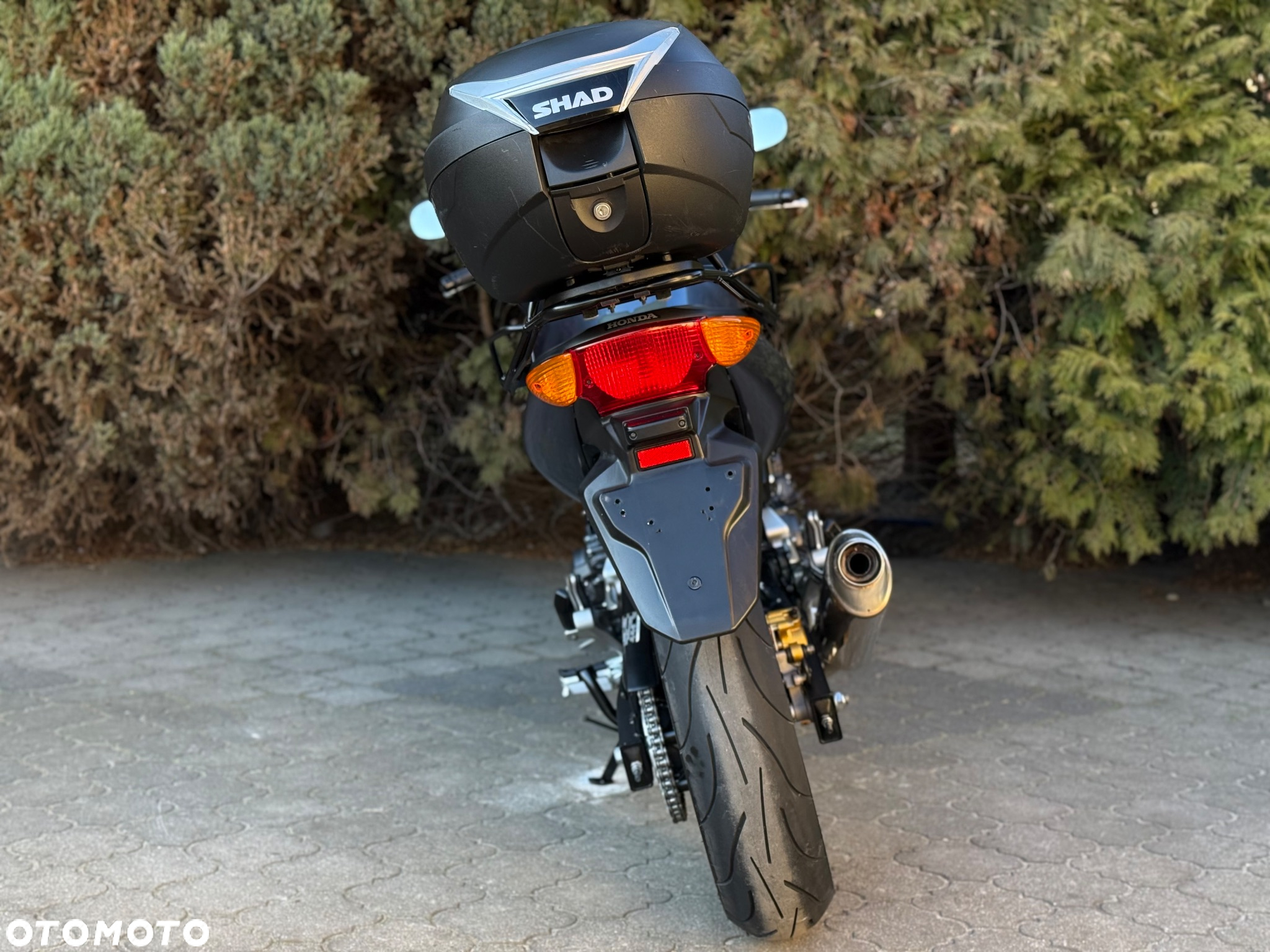 Honda CBF - 4