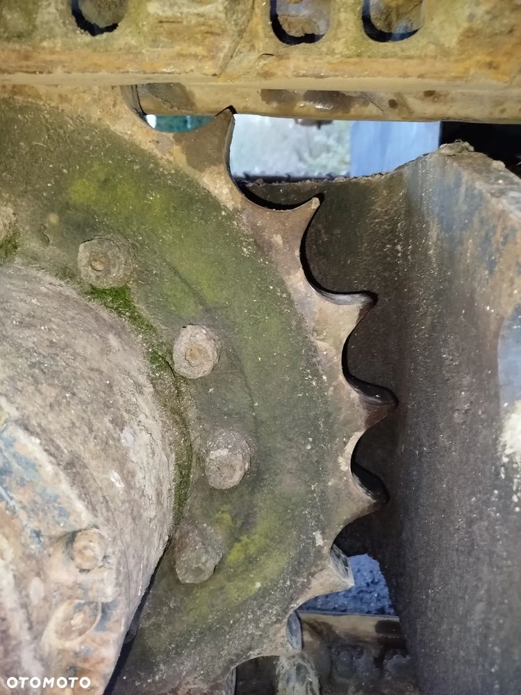 Case 61 błotniak - 20