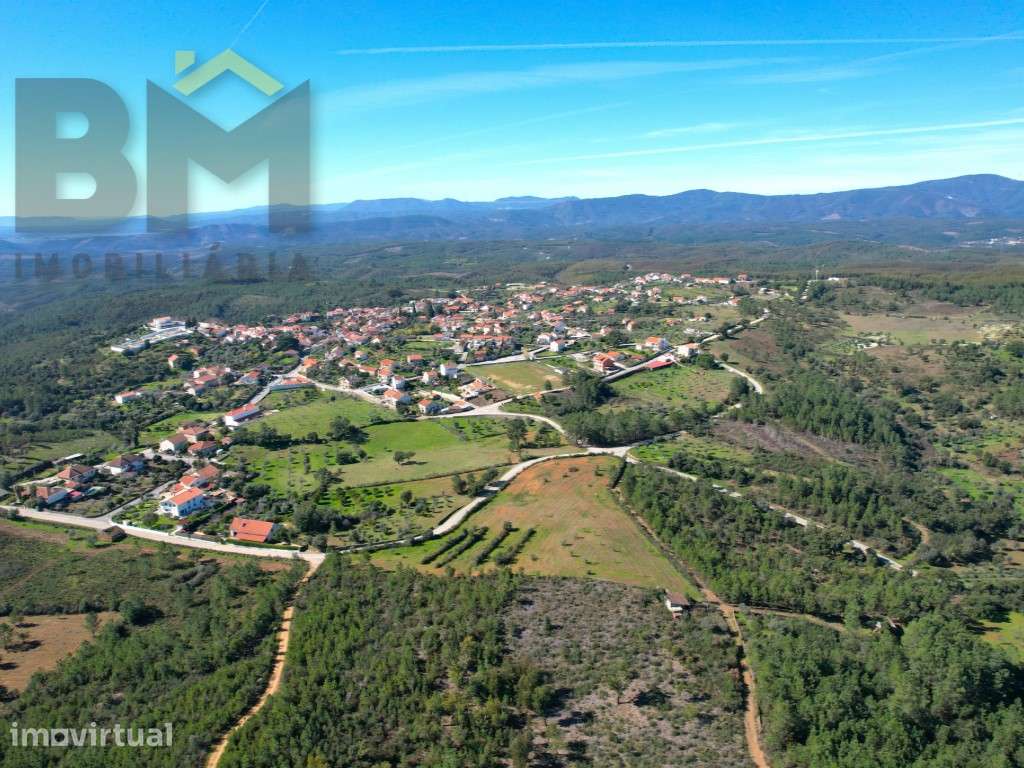Terreno rústico com 1.2hectares, na aldeia de Sobral do Campo | 15m... - Grande imagem: 3/8