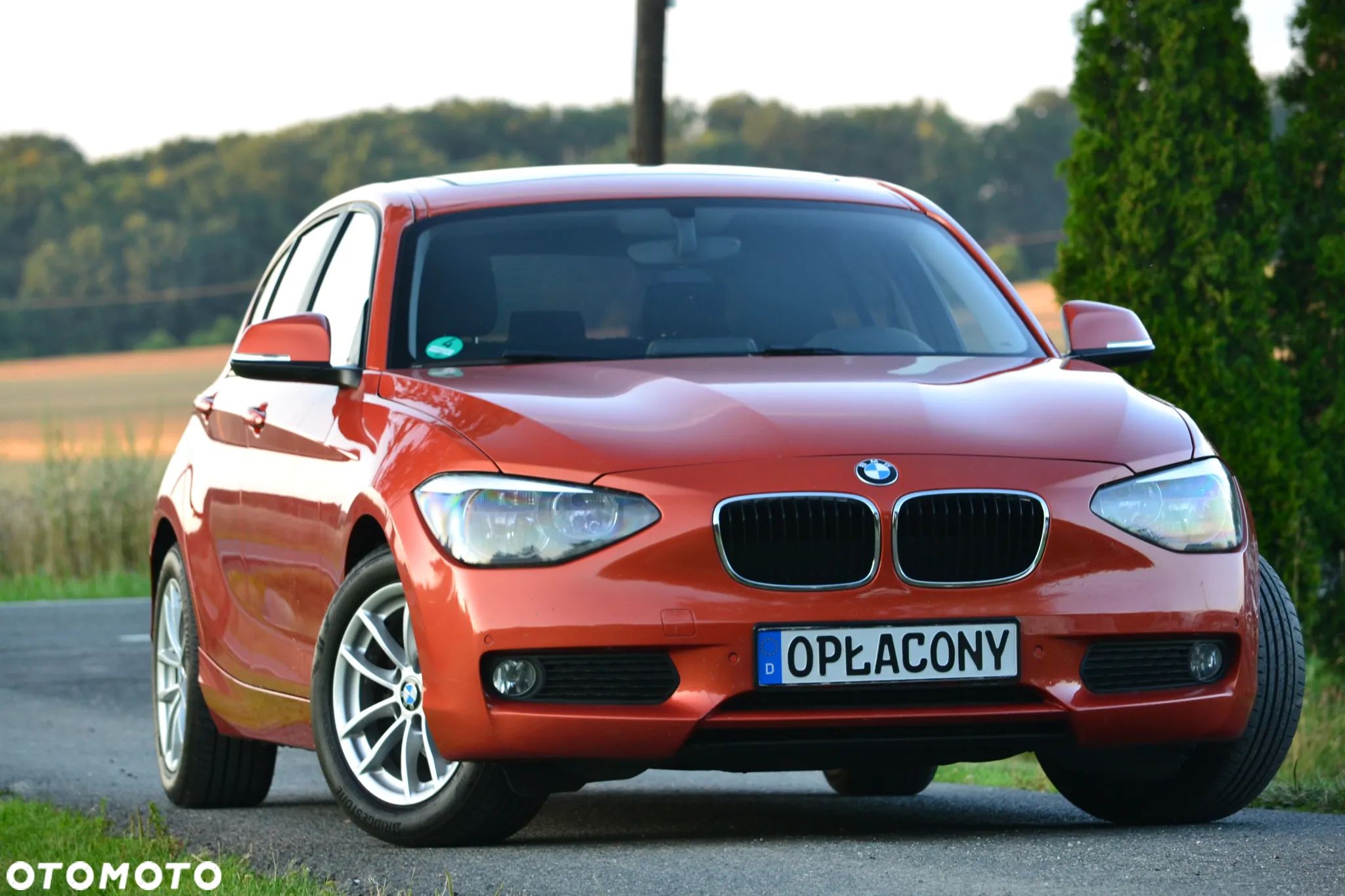 BMW Seria 1 116d EfficientDynamics Edition Sport Line - 1