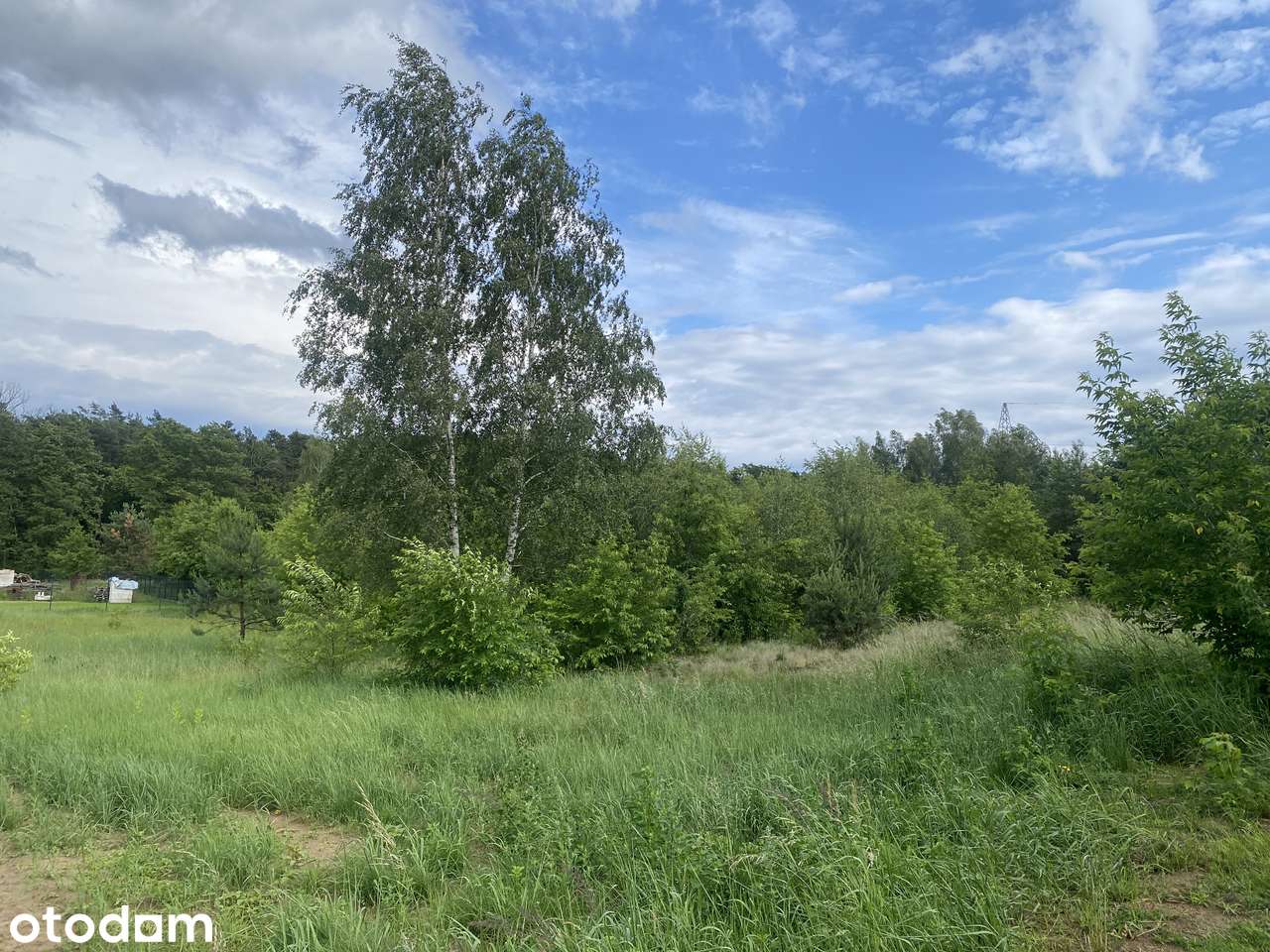 7605 m² | Grunt z potencjałem inwestycyjnym | Rozwijająca się okolica - Pełny obrazek: 2/6