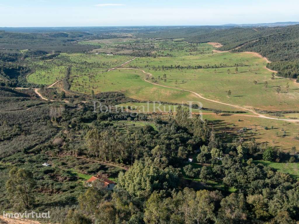 10 hectares e 6 montes isolados, em Serra d' Ossa - Estremoz - Grande imagem: 3/32