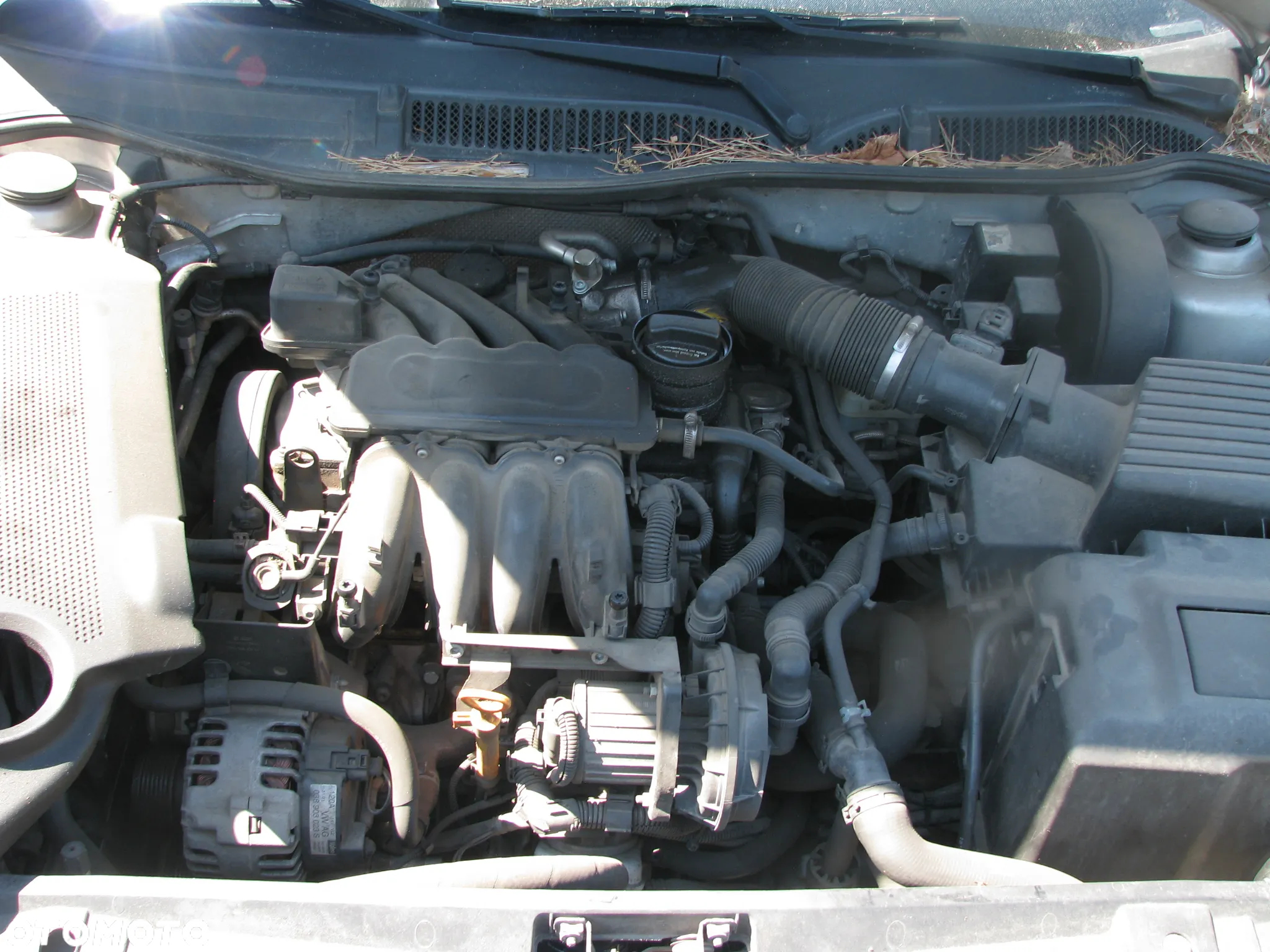 AUDI A3 8L LIFT 1.6 8V AVU NISKI PRZEBIEG KOD LAKIERU LY7W KOD SKRZYNI DUUDRZWI MASKA SILNIK ZDERZAK BŁOTNIK - 7