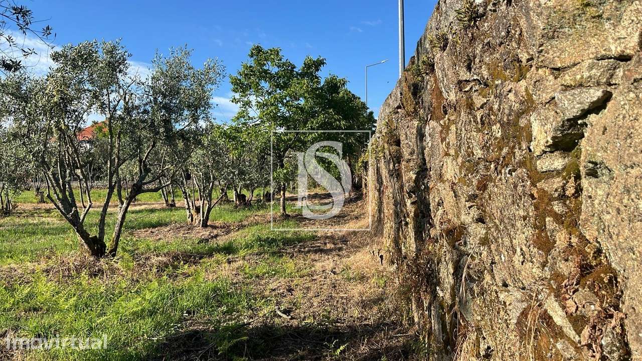 Terreno  Venda em Canas de Santa Maria,Tondela - Grande imagem: 5/20