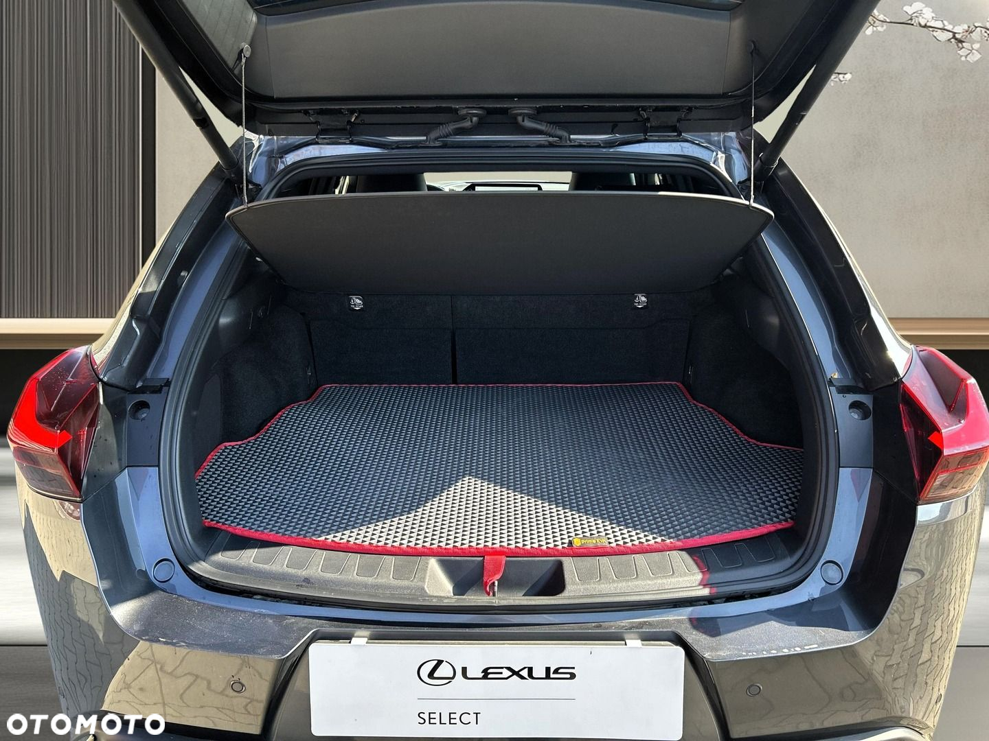 Lexus UX 250h GPF F Sport Design 2WD - 20