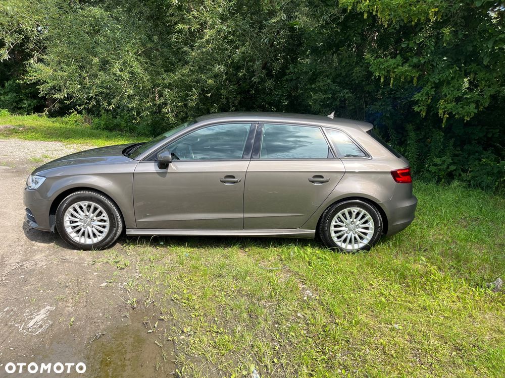 Audi A3 ver-1-6-tdi-ultra-attraction - 6