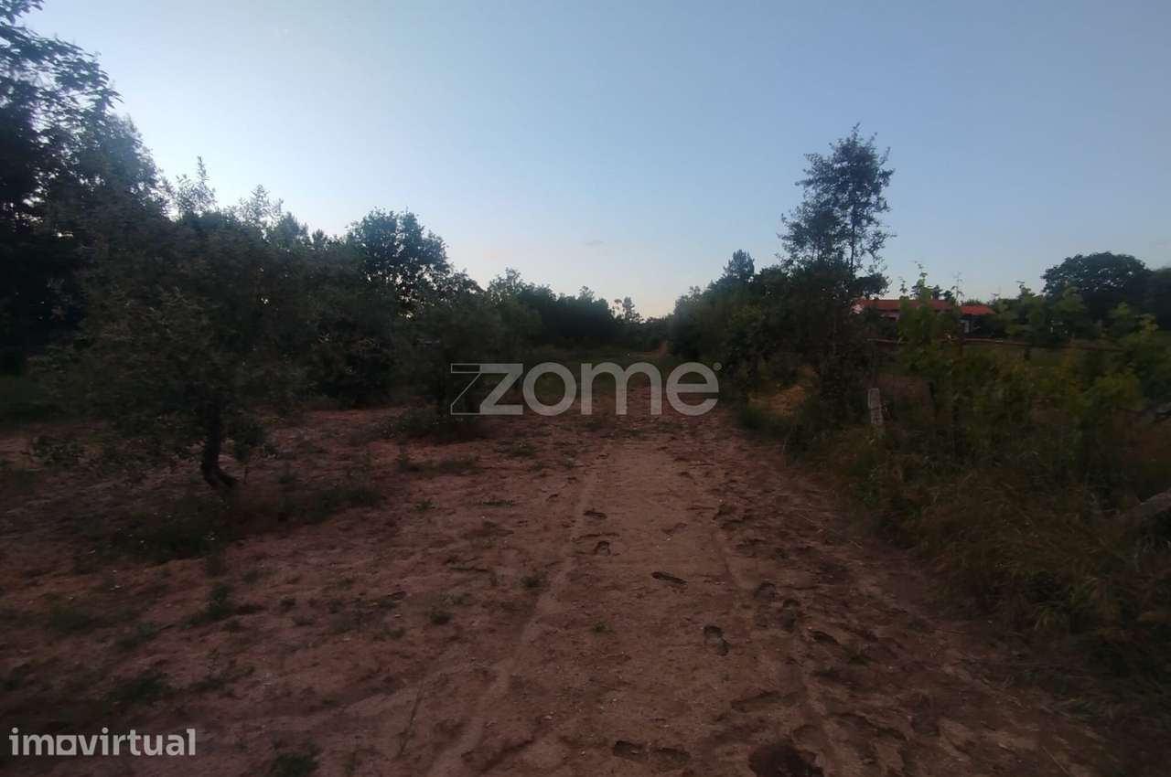 Terreno a 5 minutos do centro de Mangualde o seu Sonho - Grande imagem: 5/18
