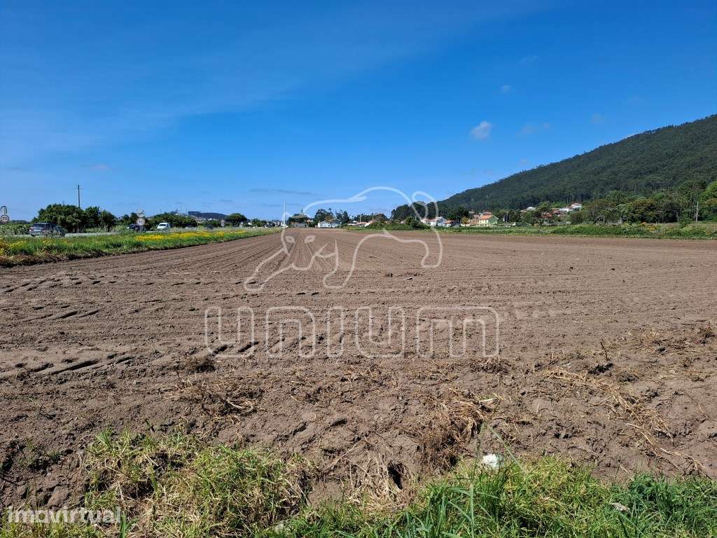 Terreno em Carreço - Grande imagem: 3/3