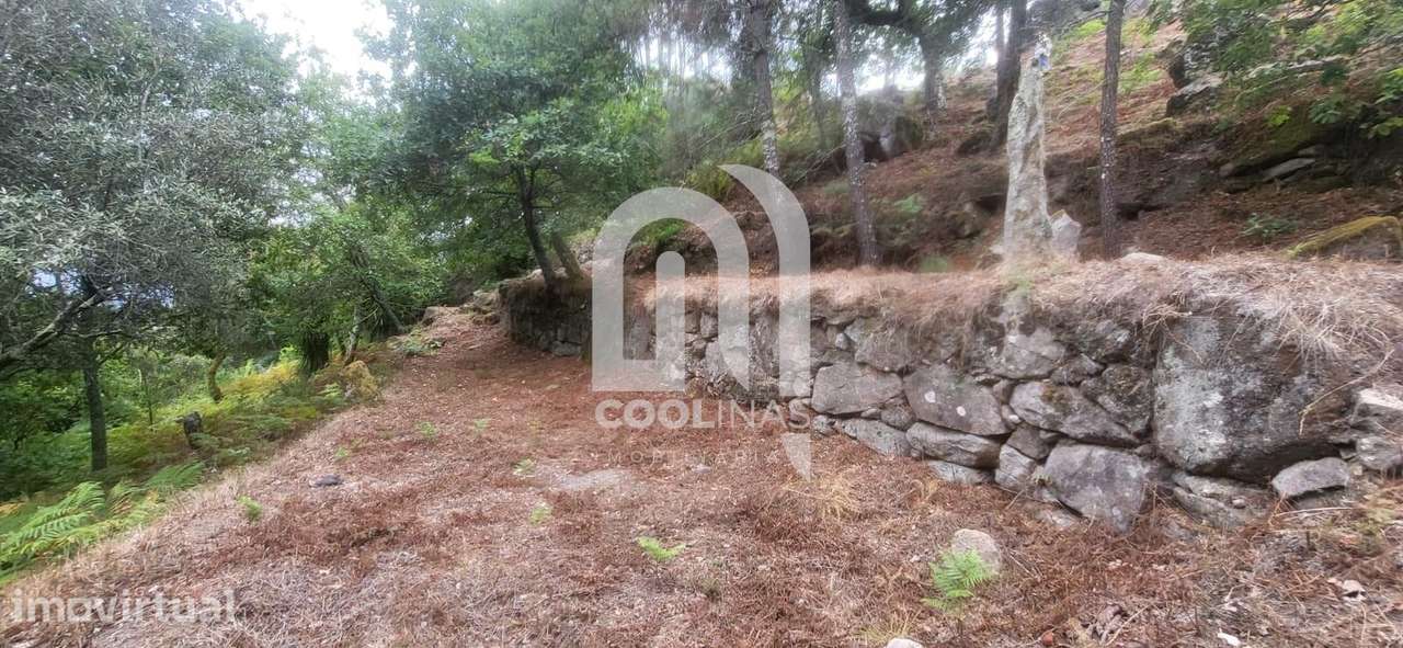 28.500m2 Água própria. Uma vista que não se consegue construir.” - Grande imagem: 4/11