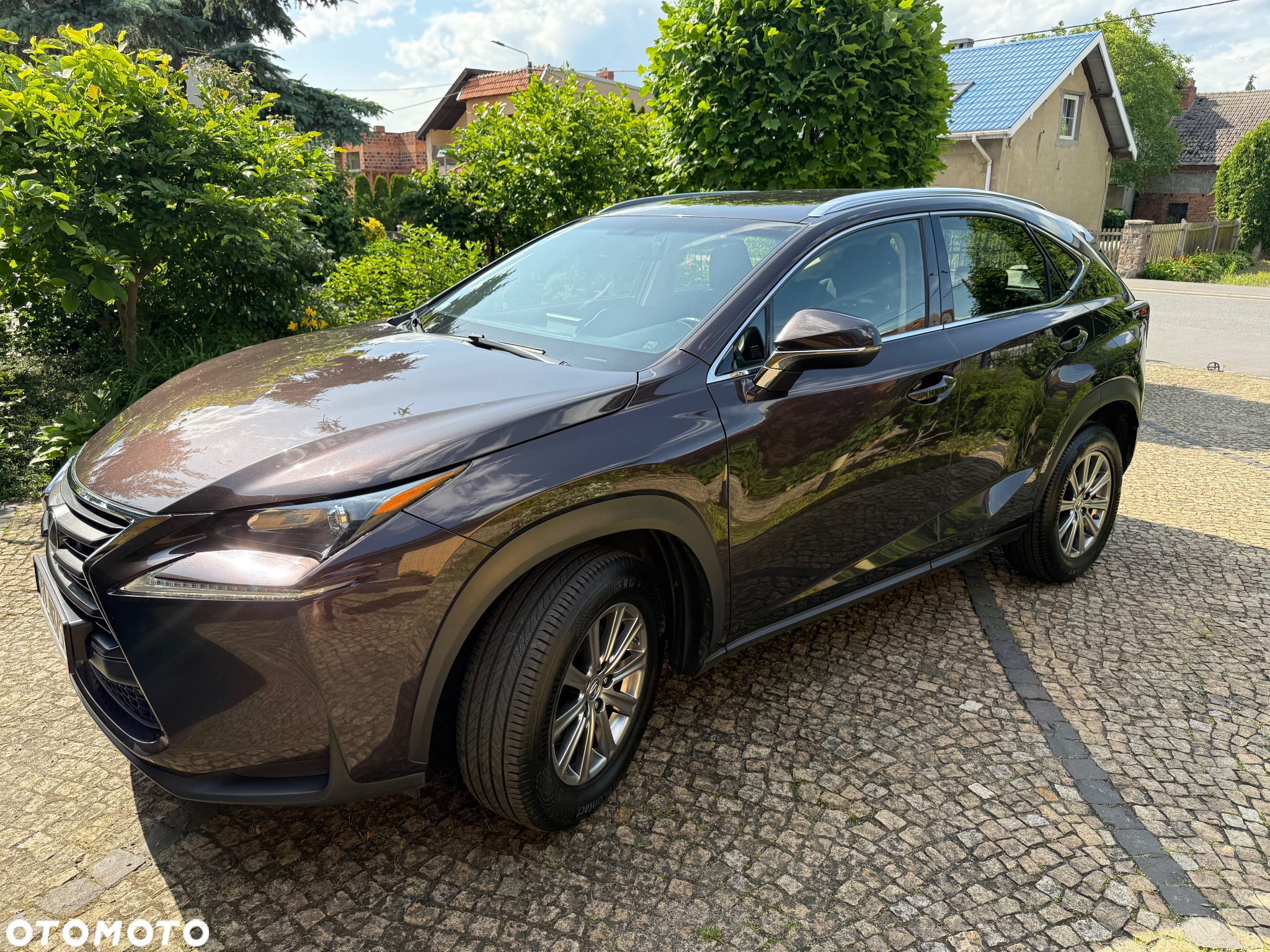 Lexus NX - 6