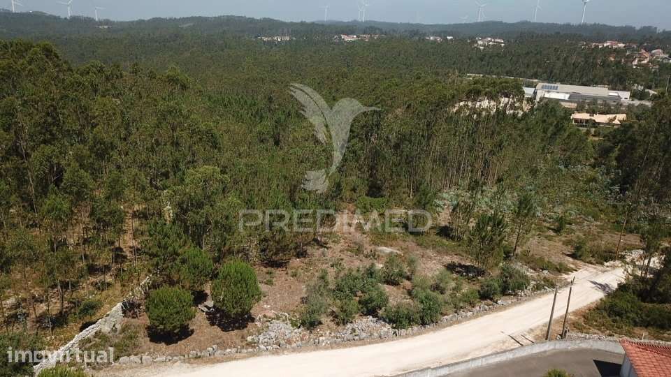 Terreno urbanizável com 1.570 m² | Perulheira – São Mamede - Grande imagem: 3/10