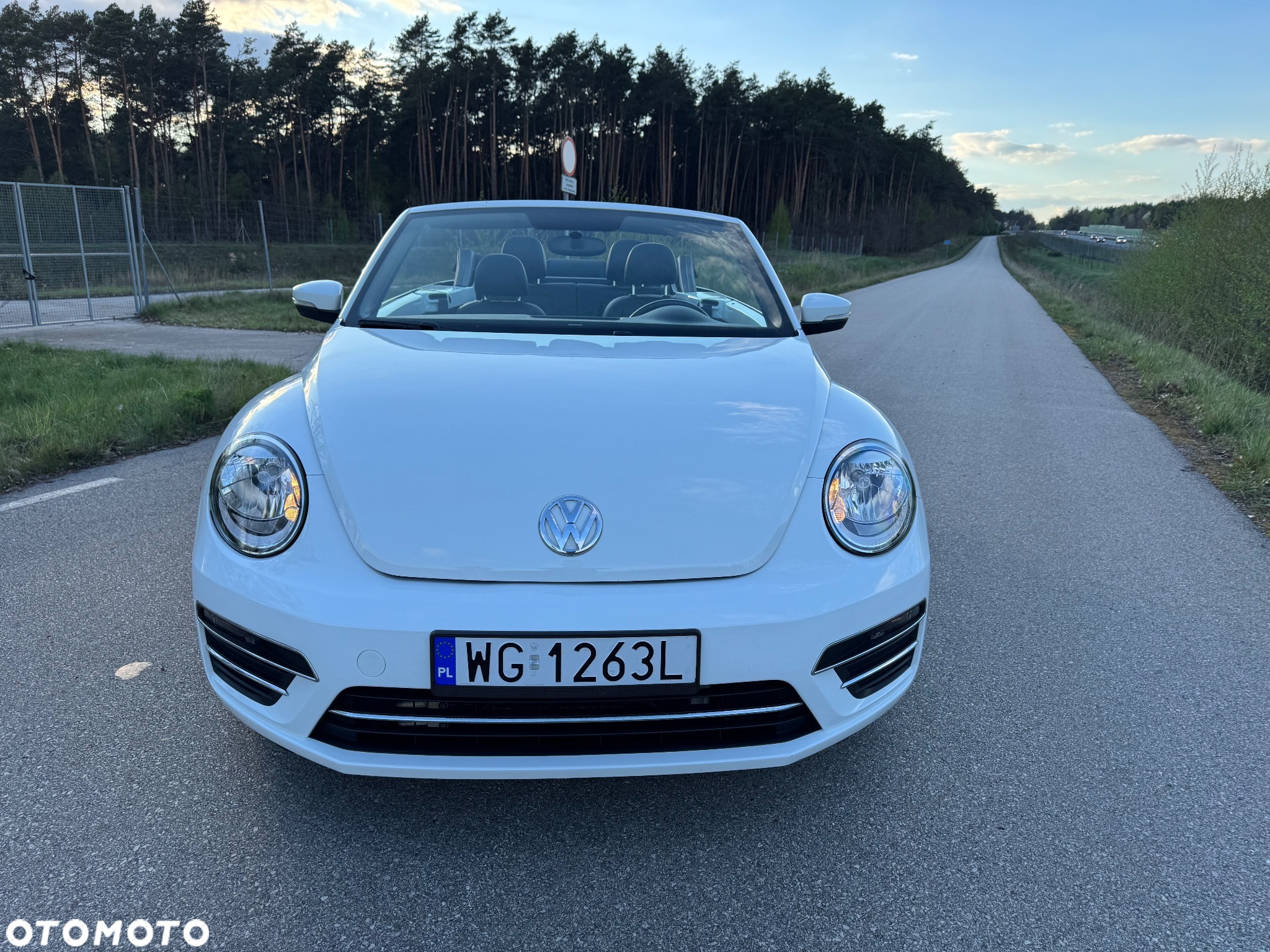 Volkswagen Beetle - 16