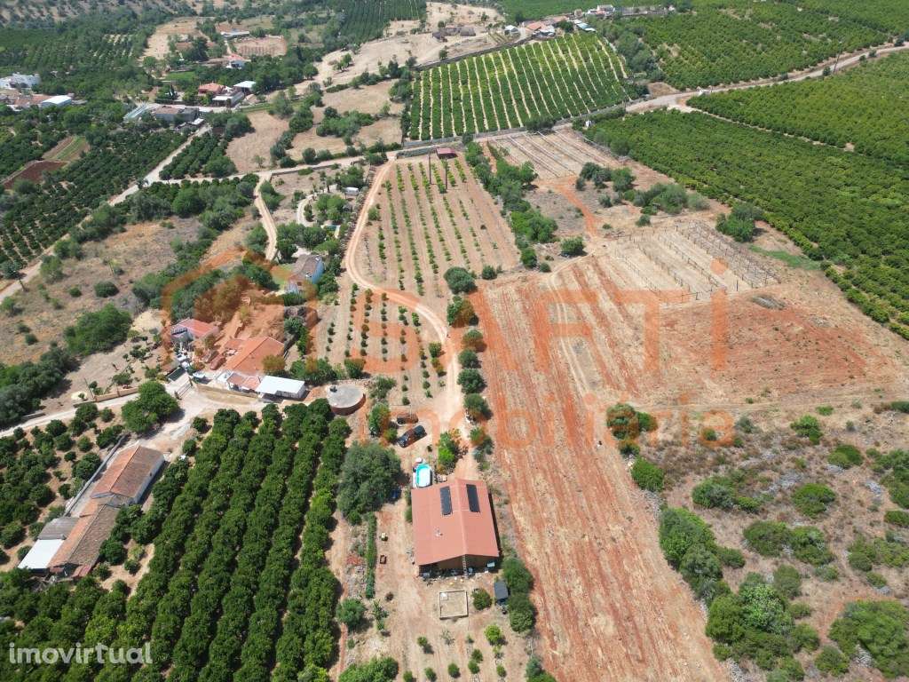 Terreno com casa de madeira e ruína em Algoz - Grande imagem: 2/52