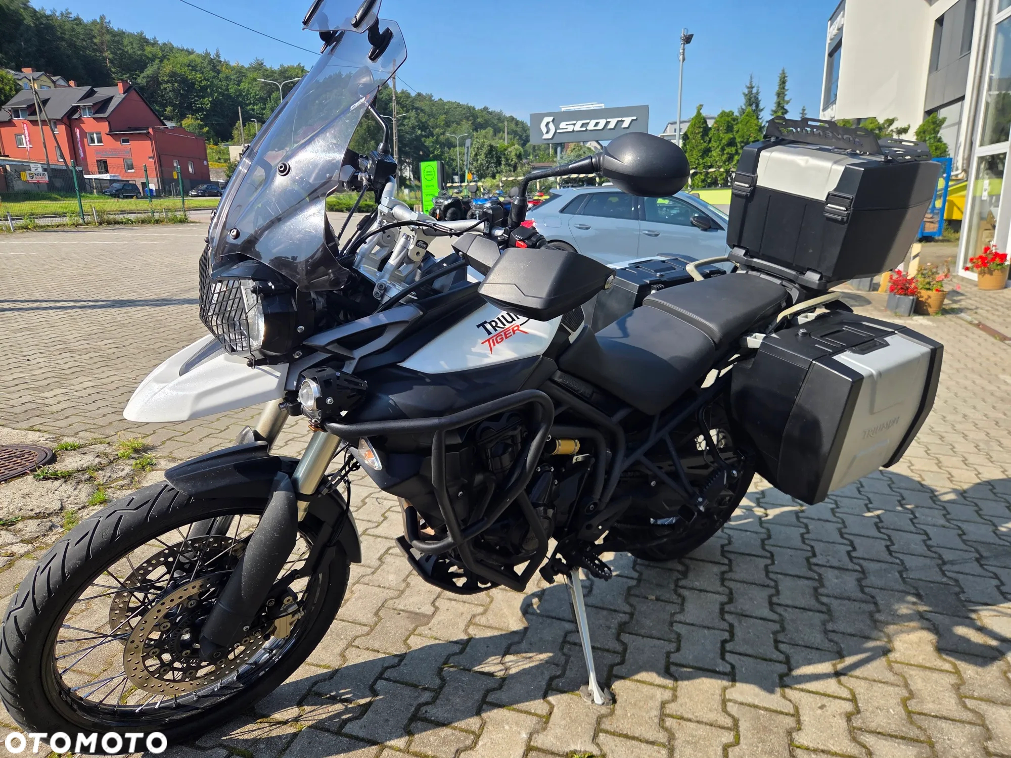 Triumph Tiger - 5
