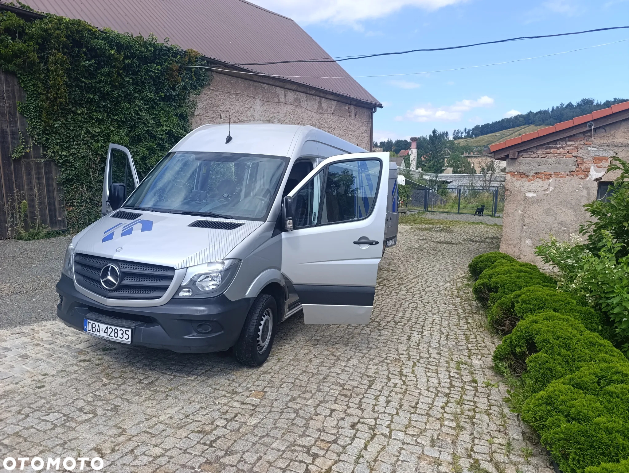 Mercedes-Benz Sprinter - 2