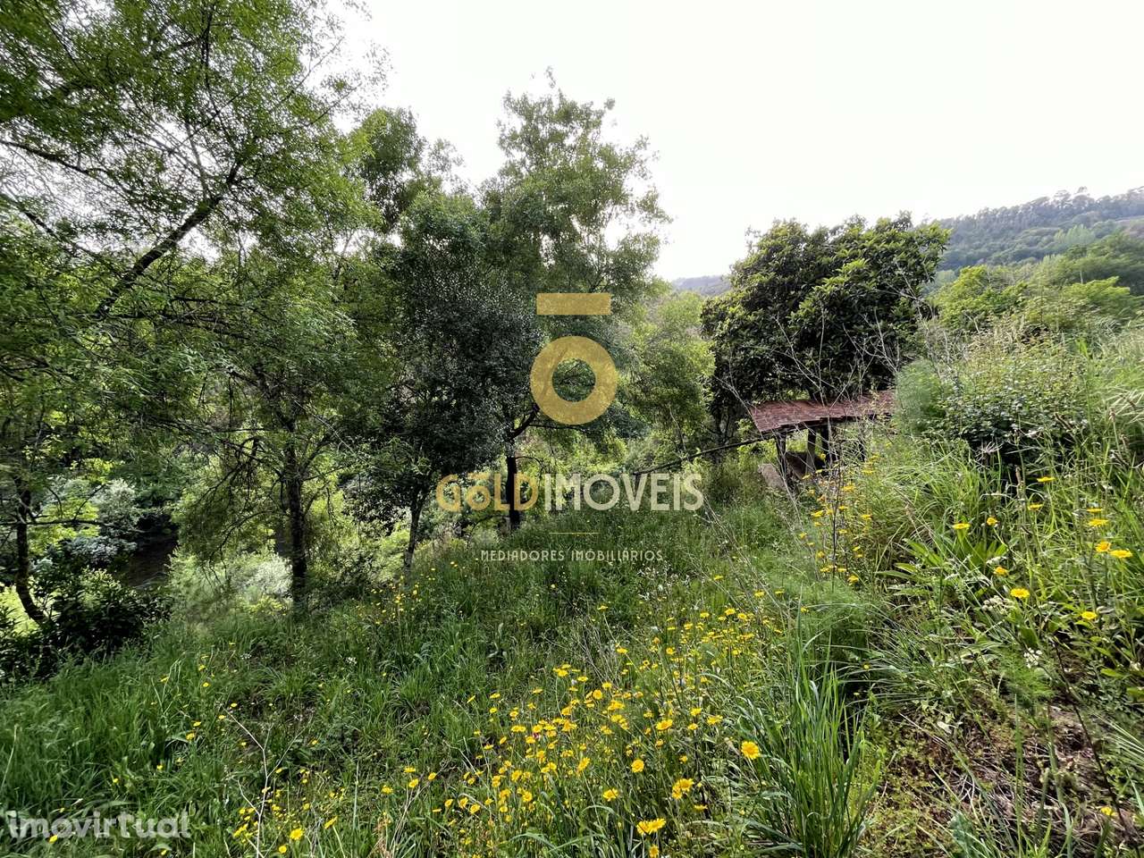 Terreno Rústico - Grande imagem: 4/19