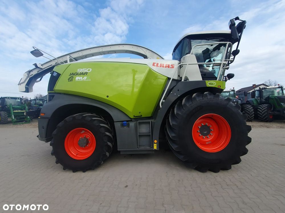 Claas Jaguar 950 - 2