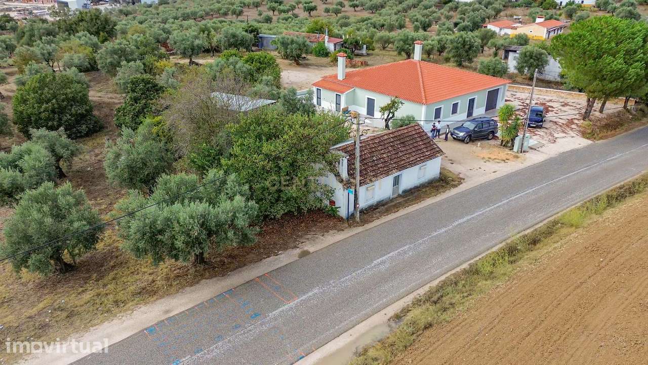Moradia C/ Terreno Misto de Olival 4.400m2 - Grande imagem: 3/18