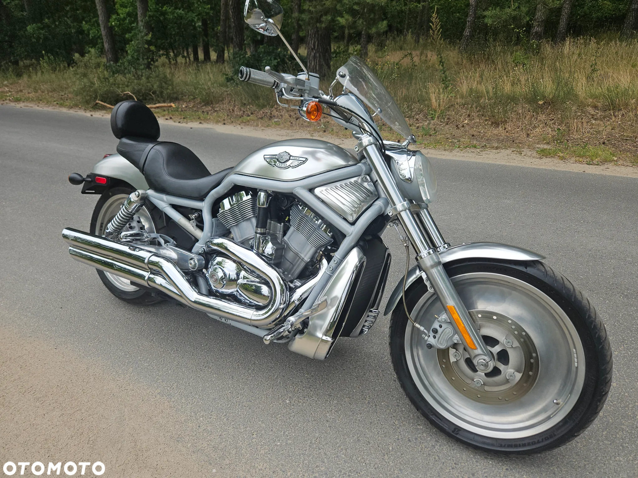 Harley-Davidson V-Rod Street Rod - 7