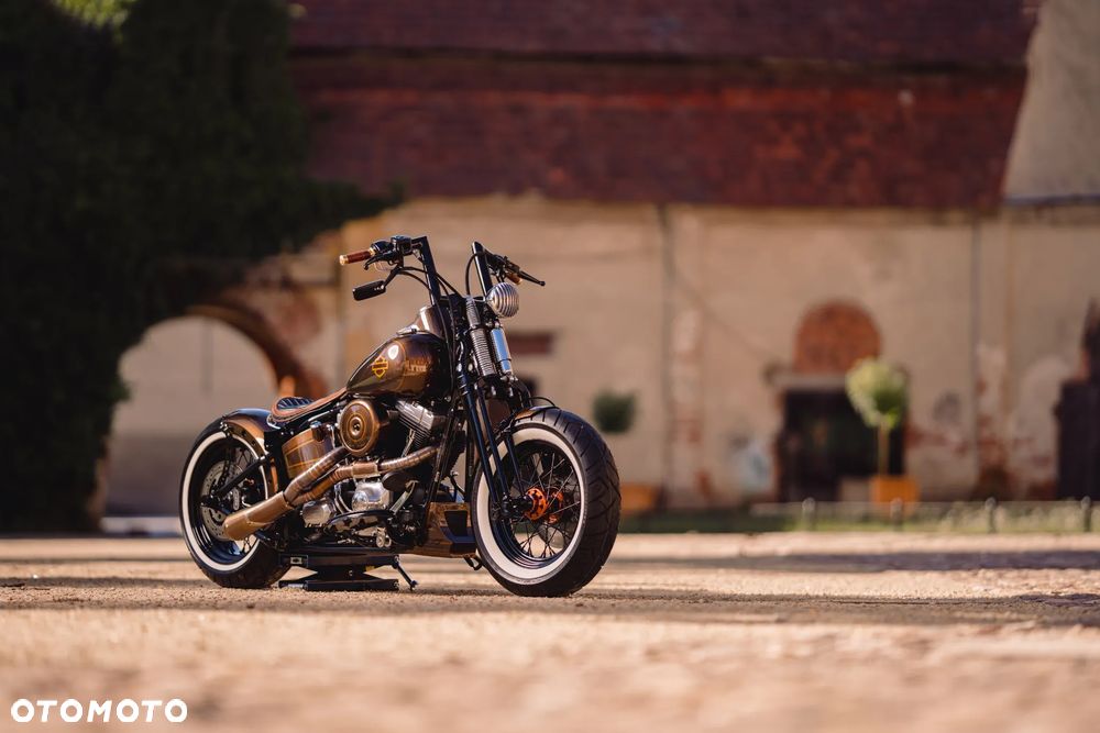 Harley-Davidson Softail Cross Bones - 11
