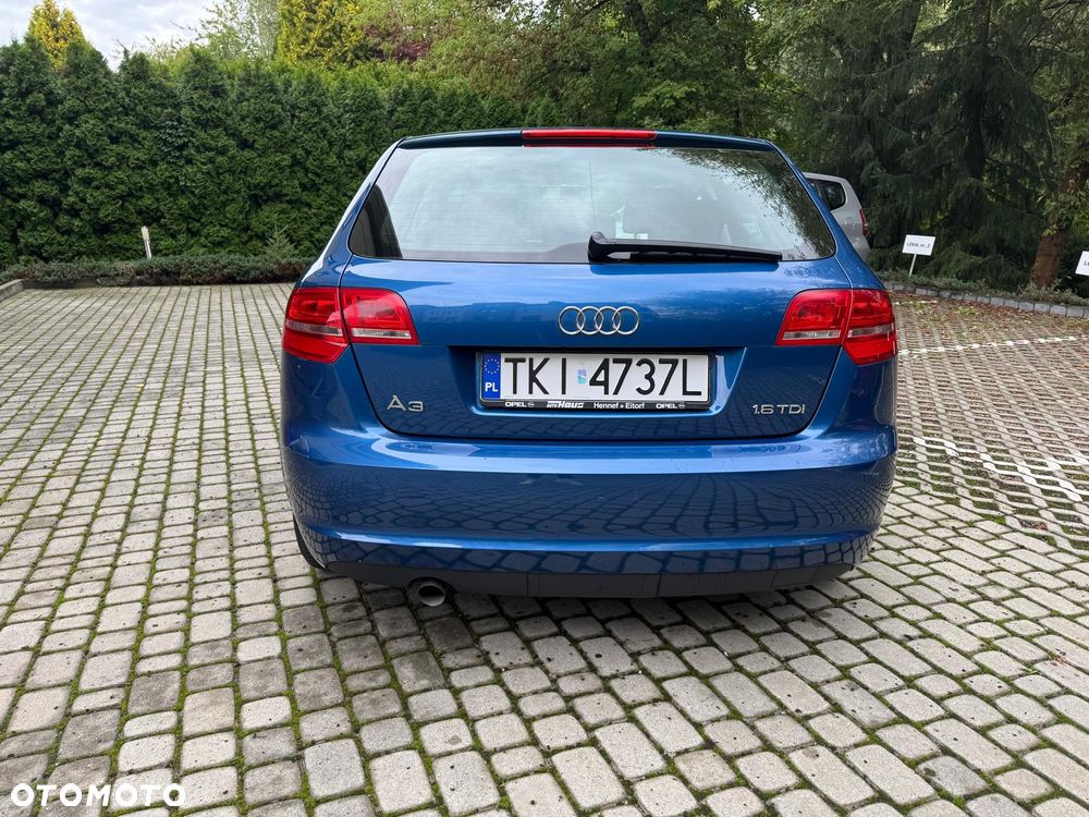 Audi A3 Sportback 1.6 TDI DPF Attraction - 12