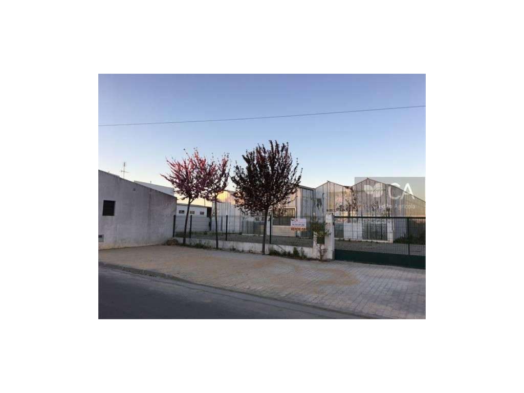 Terreno urbano com 4.268m2, sito em Tramaga, Ponte de Sor - Grande imagem: 2/9