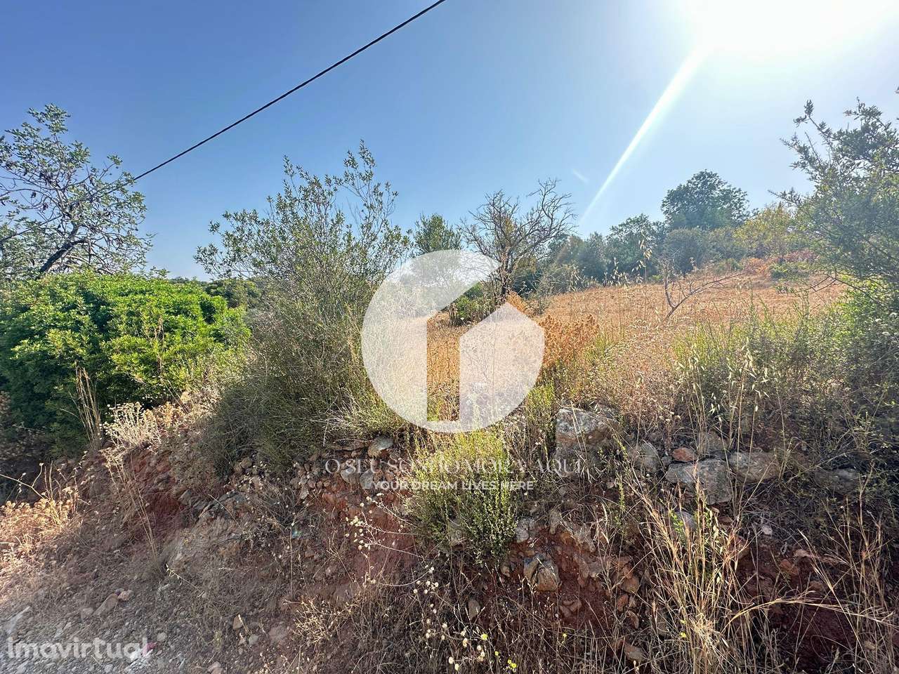 Terreno Rústico - Pechão - Grande imagem: 3/11