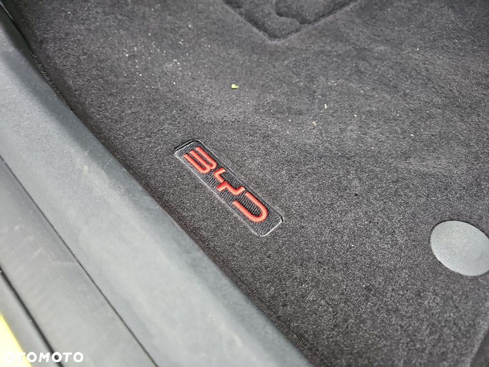 BYD Dolphin Surf - 20