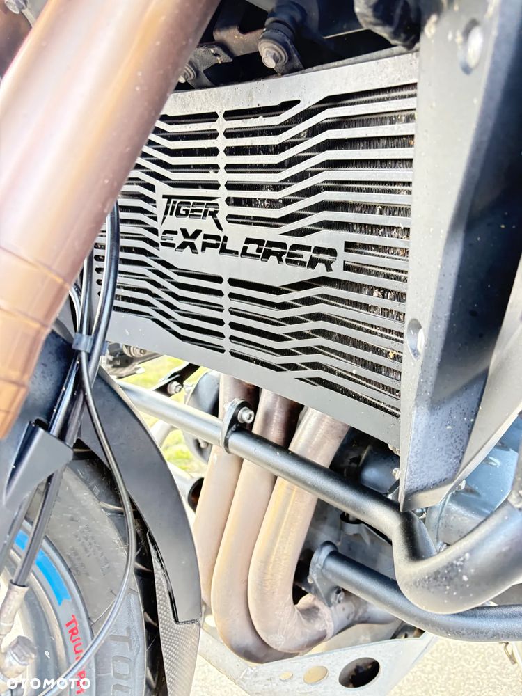 Triumph Tiger - 18