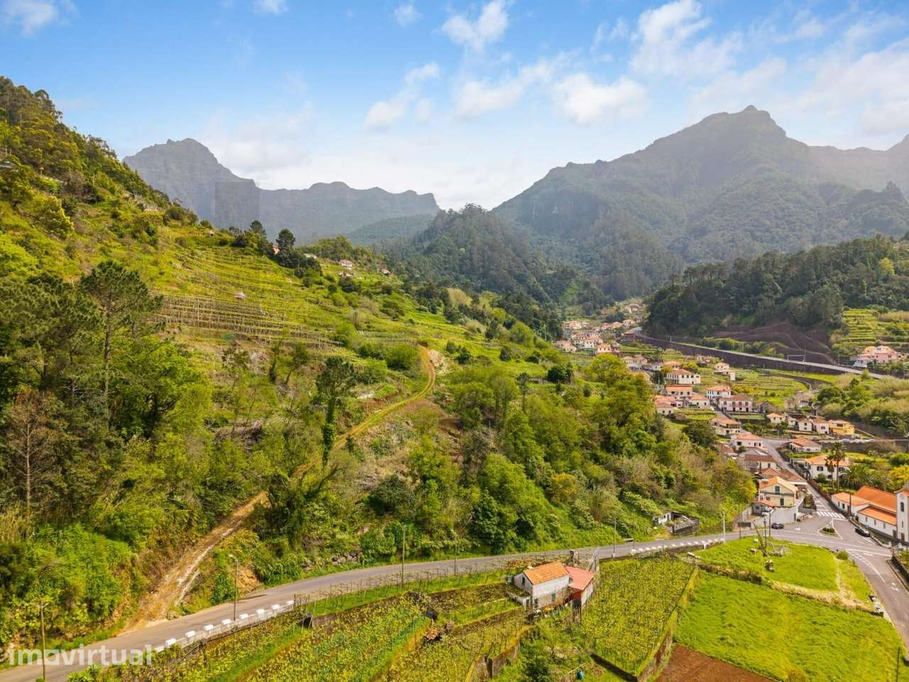 Terreno Rústico em S. Vicente -Rosário- O Seu Refúgio na Natureza - Grande imagem: 5/20