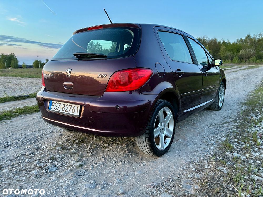 Peugeot 307 2.0 XT - 6